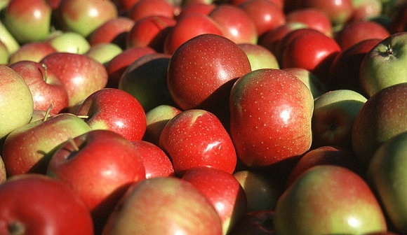 Suedtiroler Produkte -> Apfel 2011