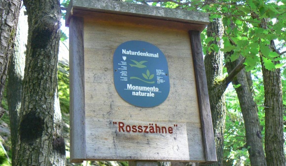Rosszähne Kaltern Caldaro 2011