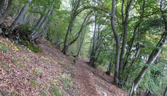 Kalterer Höhenweg 2011