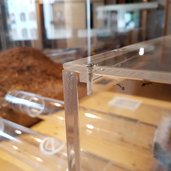 RS Naturmuseum Suedtirol Lebender Ameisenhaufen