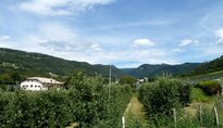 Montan Kalditsch Montagna Doladizza
