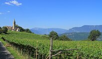 Kaltern Altenburg Caldaro Castelvecchio