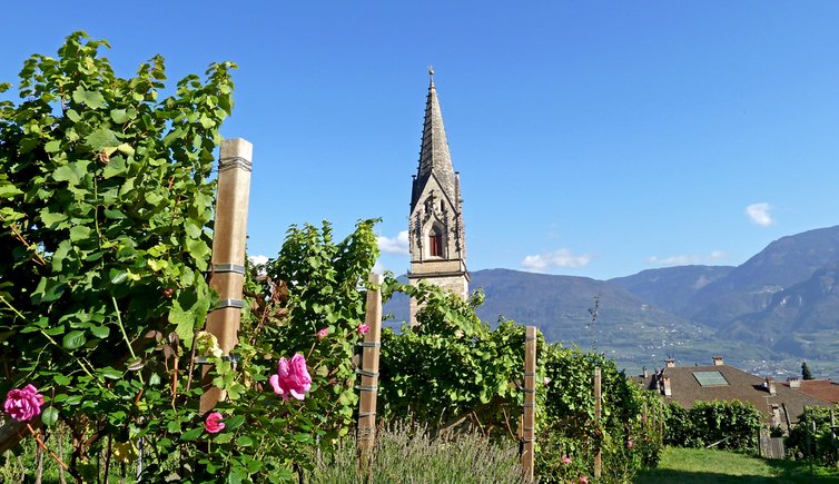 tramin dorf termeno paese