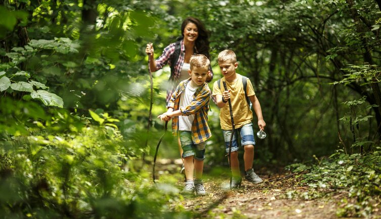 RS kinder familie personen wald wandern