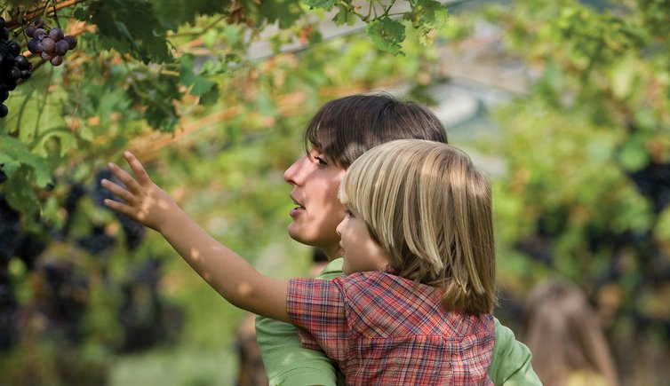 smgthgr Kinder Familie Weinstrasse