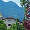 Cortina all’Adige, abbracciato da vigneti e frutteti - Foto: AT, &copy; Peer