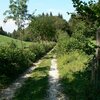 Sentieri per piacevoli passeggiate… rilassamento e tranquillit&agrave; totale - Foto: ED, &copy; Peer