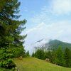 W&auml;lder und Wiesen bei Gfrill - der heutige Tag bringt eine Mischung aus Sonne, Nebel und Wolken. Foto: AT, &copy; Peer
