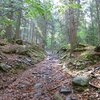 Weg zum Weissen See - als Alternative zum alten Weg im Bild kann man auch der Forststra&szlig;e entlang wandern. Foto: AT, &copy; Peer