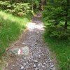 Eine gute Stunde lang geht es immer leicht aufw&auml;rts, bis wir den See erreichen. Foto: AT, &copy; Peer