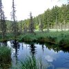 Der Weisse See oder Lago Bianco ist zur Zeit fast vollst&auml;ndig vom Schilf eingenommen. Foto: AT, &copy; Peer