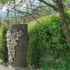 Vorbei an den Orten Entiklar und Breitbach biegt die Route bei Kurtatsch links in die Angela-Nikoletti-Str. hinauf. Dort kreuzt die Stra&szlig;e den Weinlehrpfad, den die &uuml;berdimensionale Traube aus Stein markiert. Foto: AT, &copy; Peer
