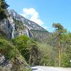 Der h&auml;rteste Teil ist &uuml;berstanden, wo der Wald beginnt. Zwar ist es immer noch steil, aber wenigstens spenden die B&auml;ume wohltuenden Schatten. Foto: AT, &copy; Peer