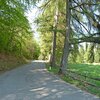 Dem Wegweiser nach Fennberg folgend, geht es &uuml;ber die verkehrsarme Stra&szlig;e hinauf, in s&uuml;dliche Richtung. Foto: AT, &copy; Peer