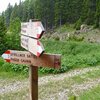 Die n&auml;chste Etappe f&uuml;hrt uns zum Gfrillner Sattel - wir verlassen die Forststra&szlig;e und folgen einem engen und teils steilen Pfad hinunter. Foto: AT, &copy; Peer