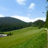 Wiesen am Gfrillner Sattel - von hier aus geht es zur&uuml;ck ins Dorf. Foto: AT, &copy; Peer