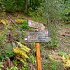 Der Wegweiser mit der Markierung 9 zeigt auf einen engen Waldweg, der und ein St&uuml;ck weit auf und ab begleiten wird. Foto: AT, &copy; Peer
