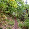 Gem&uuml;tliche Abschnitte wechseln mit ruppigeren Steigungen. Foto: AT, &copy; Peer