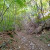 Der H&ouml;henweg kreuzt den Mendelsteig, ein steiles St&uuml;ck f&uuml;hrt nach oben. Foto: AT, &copy; Peer