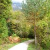 Fein, dass es dann wieder &uuml;ber einen angenehmeren Forstweg weitergeht. Foto: AT, &copy; Peer