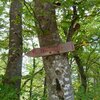 Auf einem angenehmen Pfad, der allm&auml;hlich zum Forstweg wird, geht es hinab in Richtung Steinegger. Foto: AT, &copy; Peer