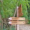 Wir folgen der Markierung nach St. Michael. Foto: AT, &copy; Peer