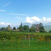 Blick auf Schloss Moos-Schulthaus. Foto: AT, &copy; Peer