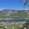 Primavera sul Lago di Caldaro: in aprile fioriscono i frutteti ed il verde inizia a contaminare i boschi. Foto: EMS, &copy; Peer