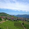 Vista su Termeno, abbracciato da vigneti - Foto: AT, &copy; Peer