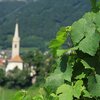 Caldaro is a village with a long wine tradition. Foto: EMS, &copy; Peer