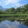 Il biotopo alla riva meridionale del lago &egrave; habitat per molte specie di piante ed animali. Foto: EMS, &copy; Peer