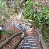 Sopra Caldaro, presso Castelvecchio, si trova la gola Rastenbach: una bellissima meta per escursionisti e amici della natura. Foto: AT, &copy; Peer