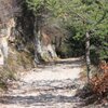 Der Wanderweg ist sch&ouml;n breit und unschwierig. Foto: JO, &copy; Peer