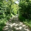 Nach einem etwas anstrengenderen Aufstieg &uuml;ber einen Ochsenweg erreichen wir einen Forstweg, der nun ziemlich eben weiterverl&auml;uft - Foto: ED, &copy; Peer