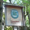 Auch die Rossz&auml;hne stehen unter Naturdenkmalschutz - Foto: ED, &copy; Peer