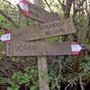 Es geht weiter am Weg Nr. 13 bis zur Kreuzung am Bacherhof - hier folgen wir der Markierung "V" nach Schlaneid. Wer 1 Std. mehr Gehzeit in Kauf nimmt, kann auch nach V&ouml;ran weiter gehen. Foto: AT, &copy; Peer