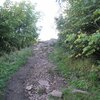 The hike encompasses an altitude difference of 350 metres. Foto: RD, &copy; Peer