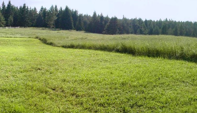 suedtirols sueden deutschnofen panorama new