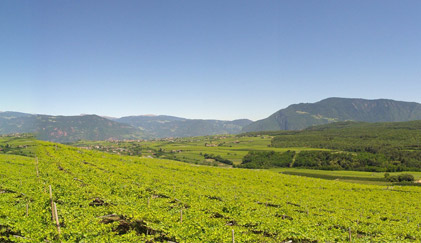 Pianizza di Sopra