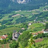 weinberge und bauernhoefe bei kurtatsch