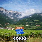 weinstrasse tramin oder kaltern landesstrasse SP