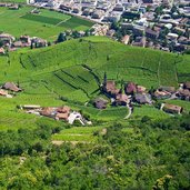 bozen rentsch magdalena weinberge