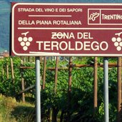 teroldego