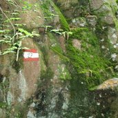Kaltern Wald Wanderweg Moos Felsen Markierung Troepfltal RD