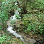 Bach Troepfltal Wald wandern Kaltern RD