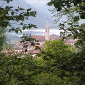 Troepfltal Kaltern wandern Wald RD