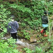 Wald spielen Kinder Troepfltal Bach RD