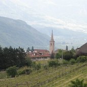 Kaltern Weinberge wandern Troepfltal RD