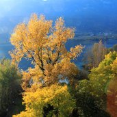 Kaltern Kalterer See Herbst Das Farbenspielwirdim Sonnenuntergangzueinemunvergesslichen Erlebnis