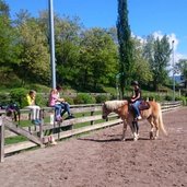 Pferd cavallo reiten Reitschule maneggio